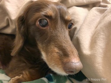 〔日記〕この１週間を振り返って