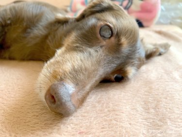 〔日記〕情緒不安定？