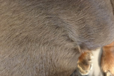 〔日記〕乾燥肌