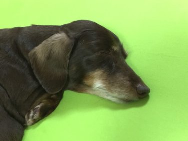 〔日記〕悪化している？