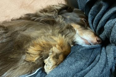 〔日記〕神経的な問題なし