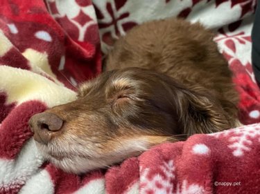 〔日記〕落下事故のその後